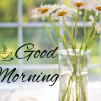 おはようございます