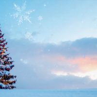 こんばんは🌙*ﾟ ありがとうを込めて