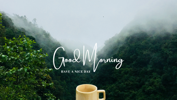 おはようございます