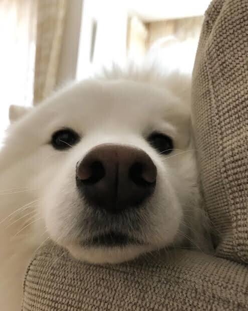 おはようございます