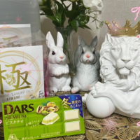 ありがとうございました☺️