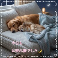 今日もありがとうございました！