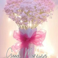 おはようございます