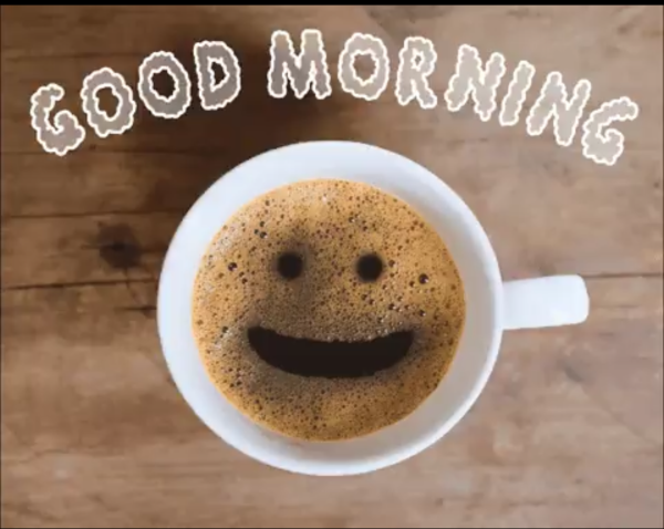 おはようございます☀️