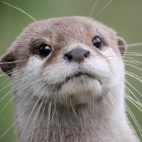 Re: こんばんは🌙