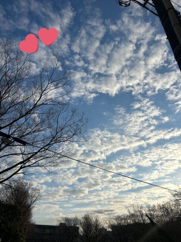 おはようございます(*^^*)