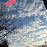 おはようございます(*^^*)