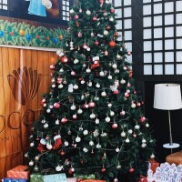 おはようございます♫