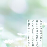 おはようございます