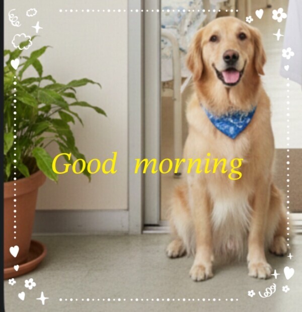 おはようございます！