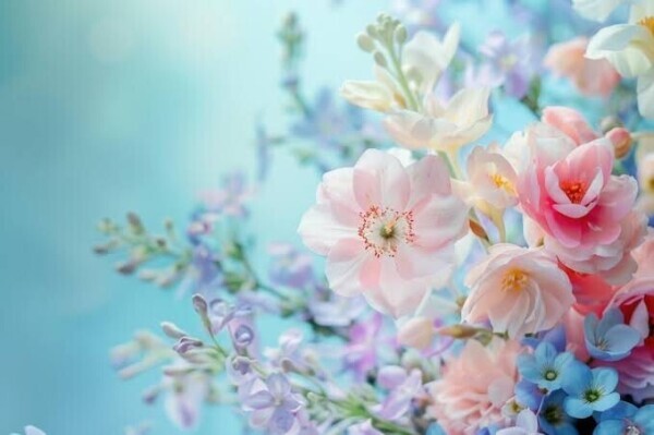 お知らせです‼️‼️