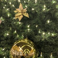 ありがとうございました☺️💕‪