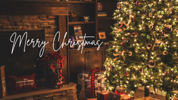 ありがとうございました🌟