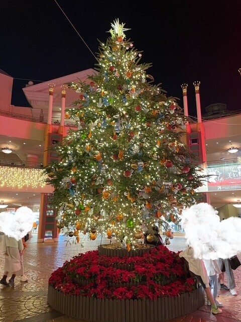 おはようございます☀