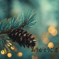 ありがとうございました🫶