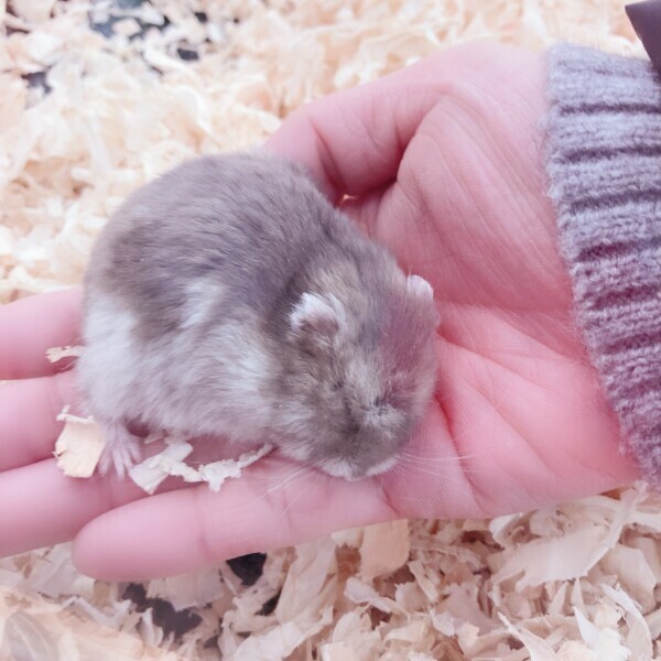 おはようございます