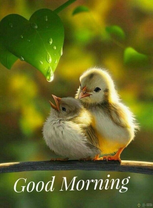 おはようございます