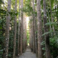 ありがとうございました✨