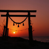 大晦日だよ〜！