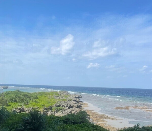 おはようございます