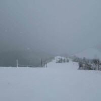 スキー⛷️スキー⛷️