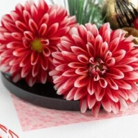 Re: ありがとうございました😊