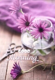 おはようございます