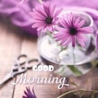 おはようございます