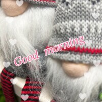 おはようございます☀️