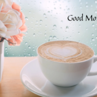 おはようございます