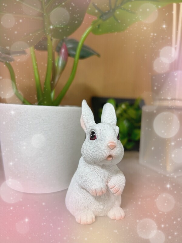 お支度整いました😊