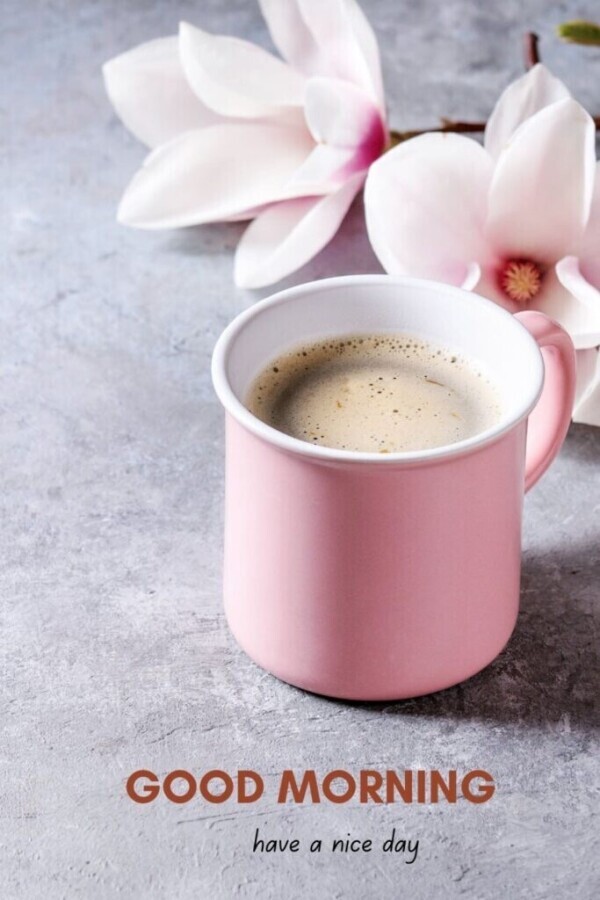 おはようございます