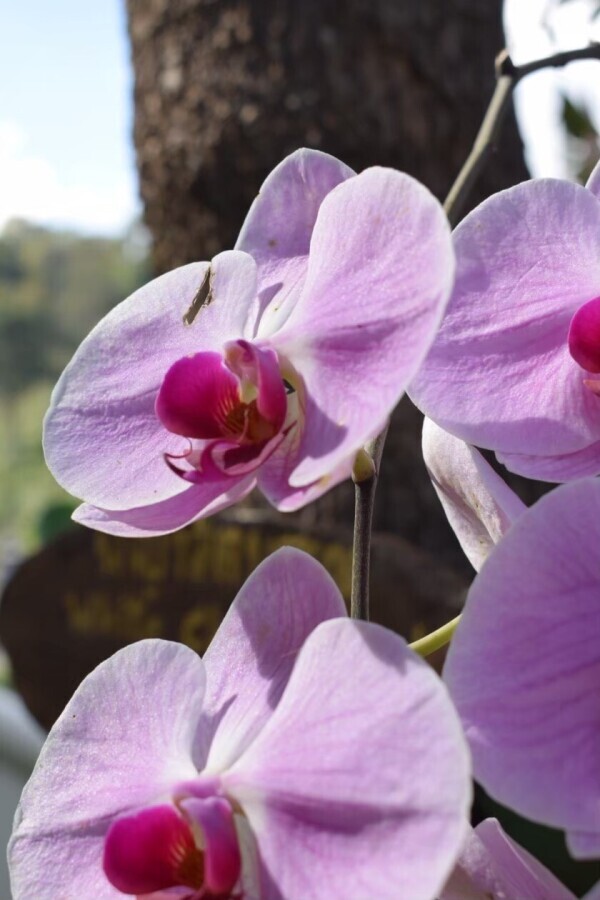 おはようございます🌞