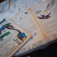 1日おつかれ様です🌿