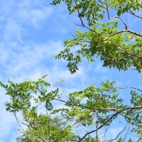 おはようございます☀