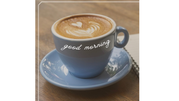 おはようございます