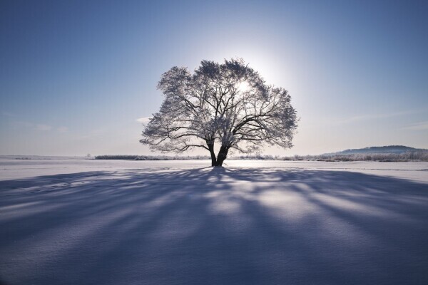 おはようございます☺️