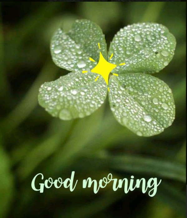 おはようございます☀️