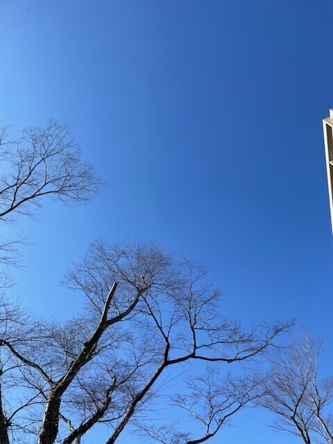 おはようございます☀