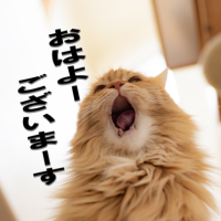 おはようございます☀️