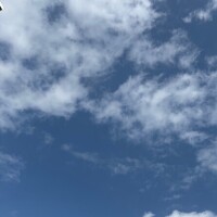 おはようございます