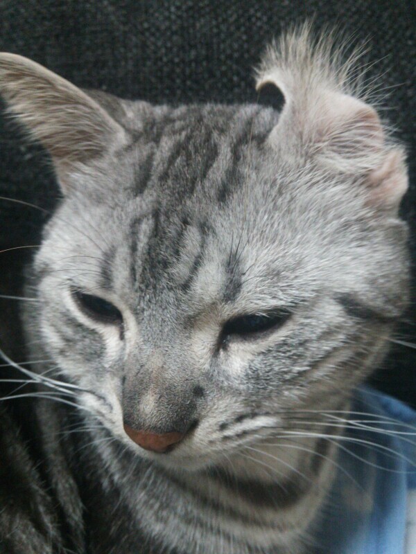 おはようございます