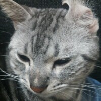 おはようございます