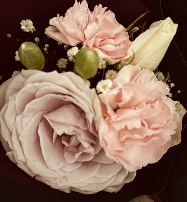 今日はありがとうございました