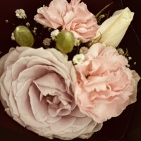 今日はありがとうございました