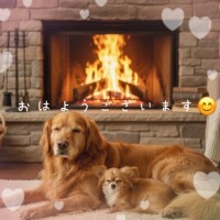 𝔾𝕠𝕠𝕕 𝕄𝕠𝕣𝕟𝕚𝕟𝕘 ☀︎*.｡