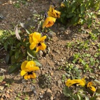 さむい〜ブルブル