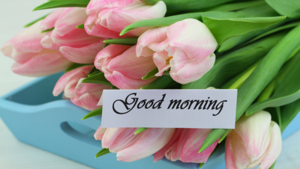 おはようございます