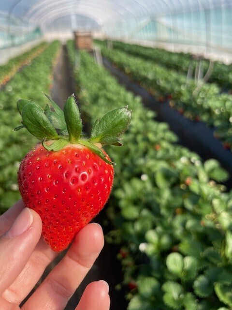 おはようございます🌞