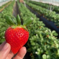 おはようございます🌞